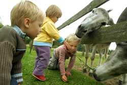 Børn og heste i Den Økologiske Have